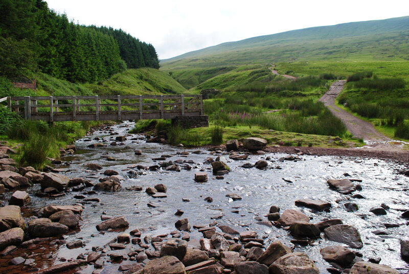 Stream with Wooden Bridge — Green, Serene