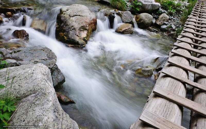 Stream with wooden bridge