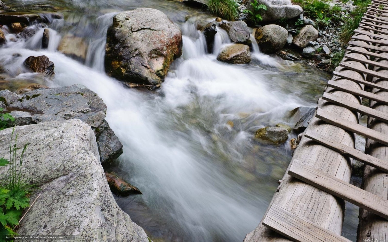 Stream with wooden bridge
