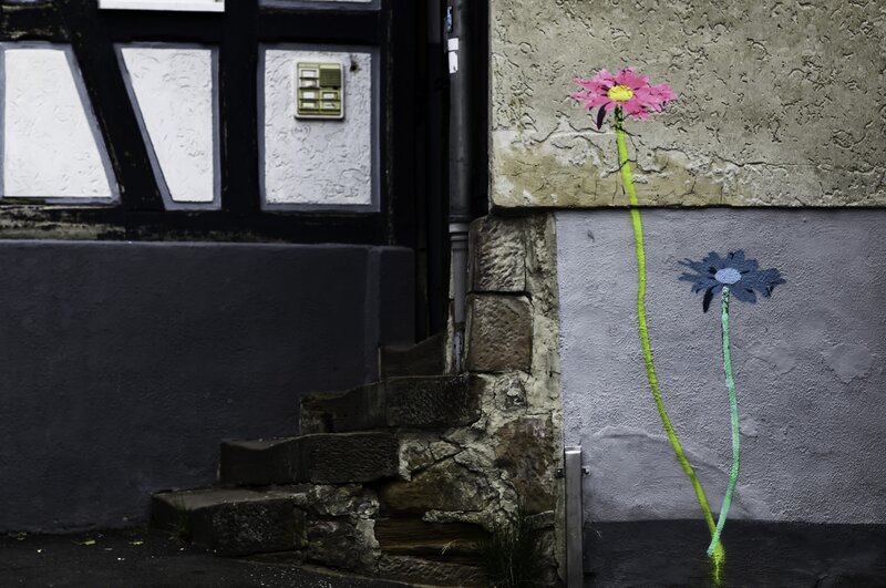 Street art flowers on a wall