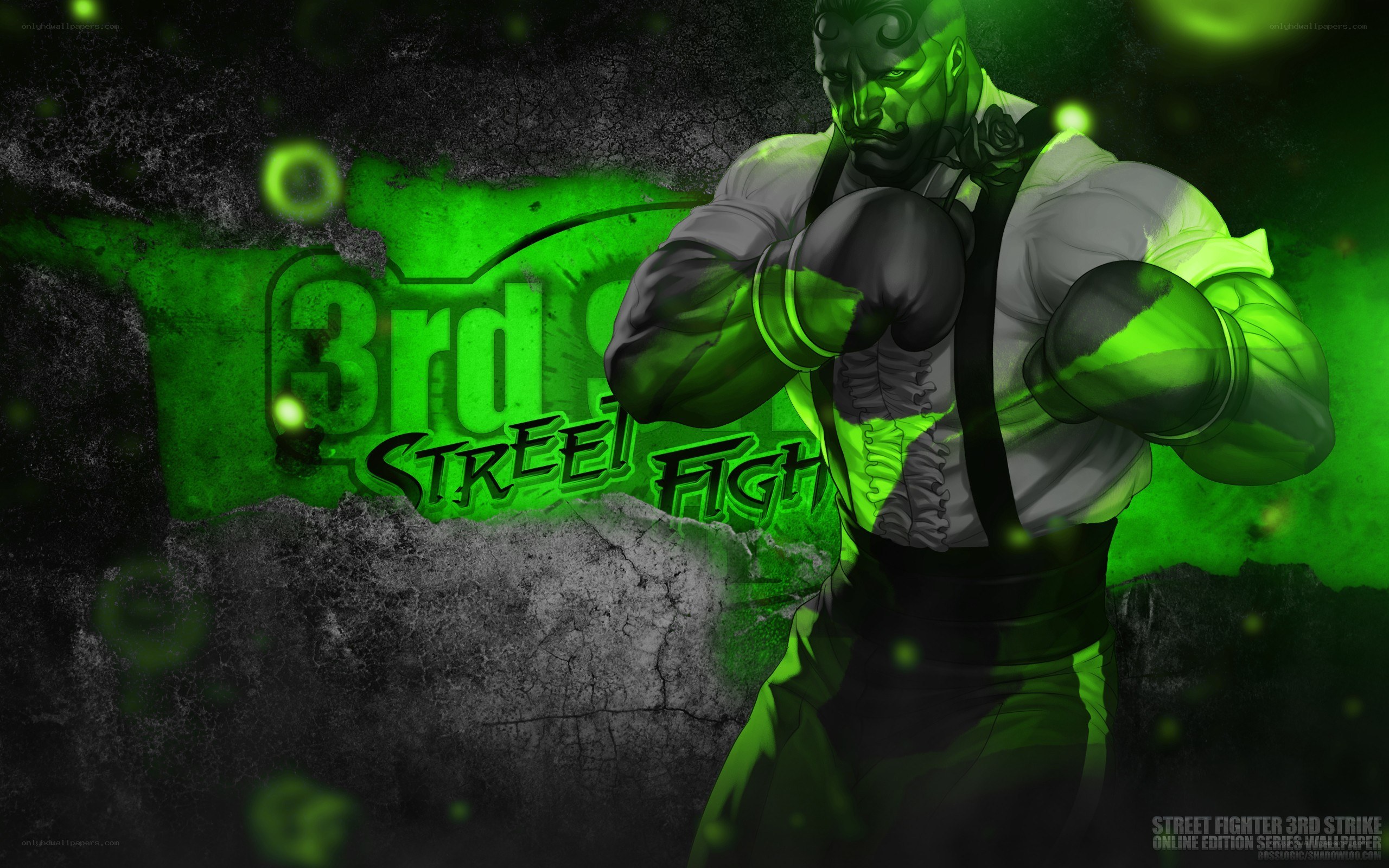 Street Fighter 3rd Strike character art