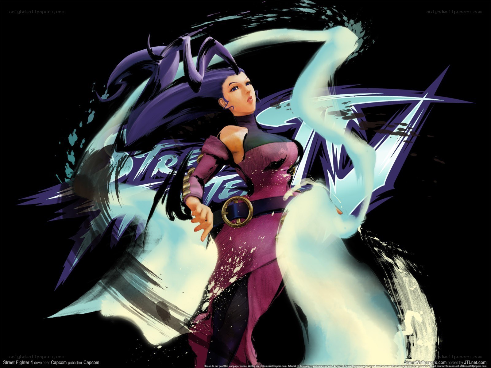 Street Fighter 4 character art