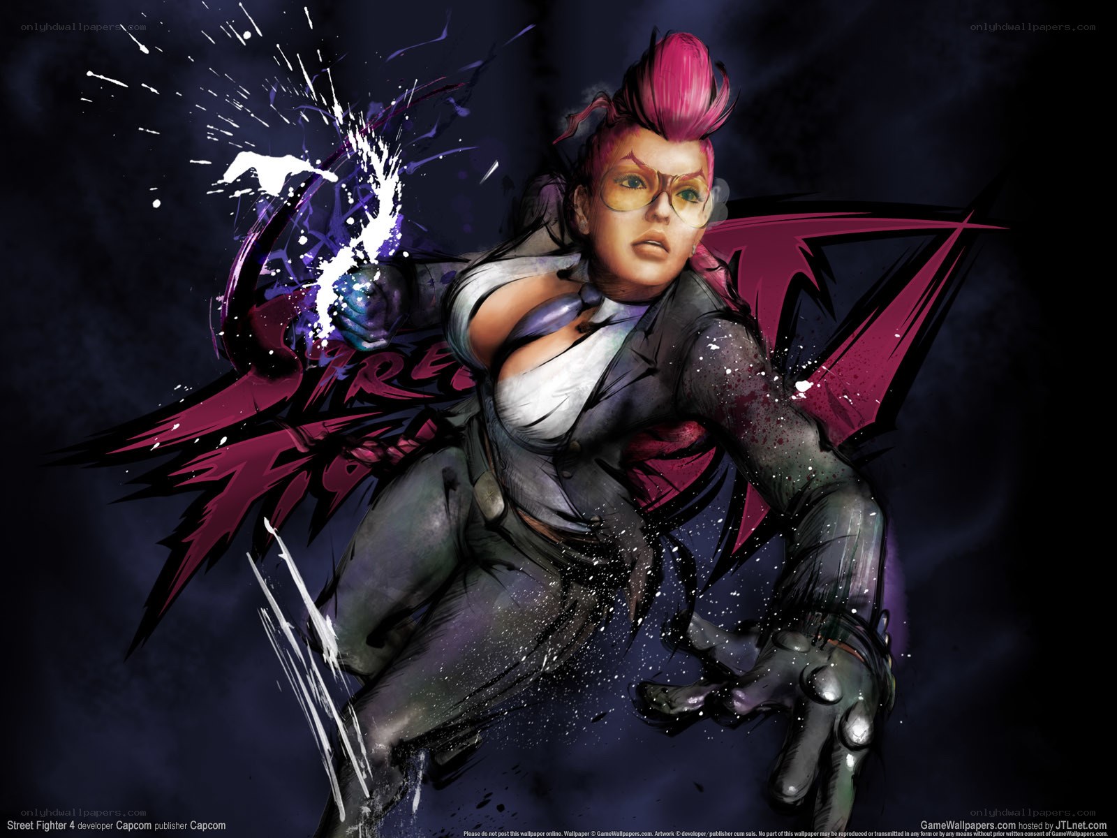 Street Fighter 4 character artwork