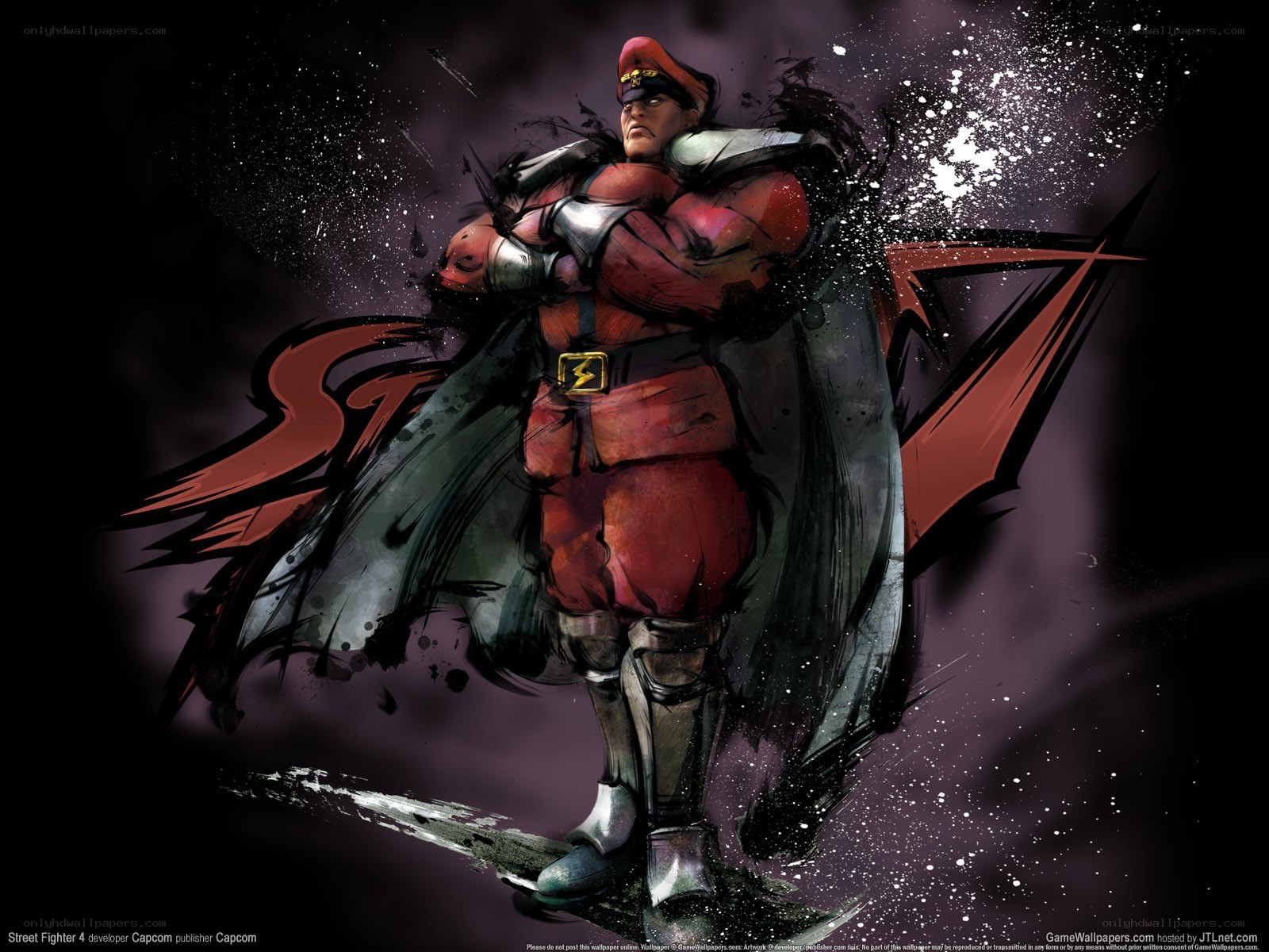 Street Fighter 4 character artwork