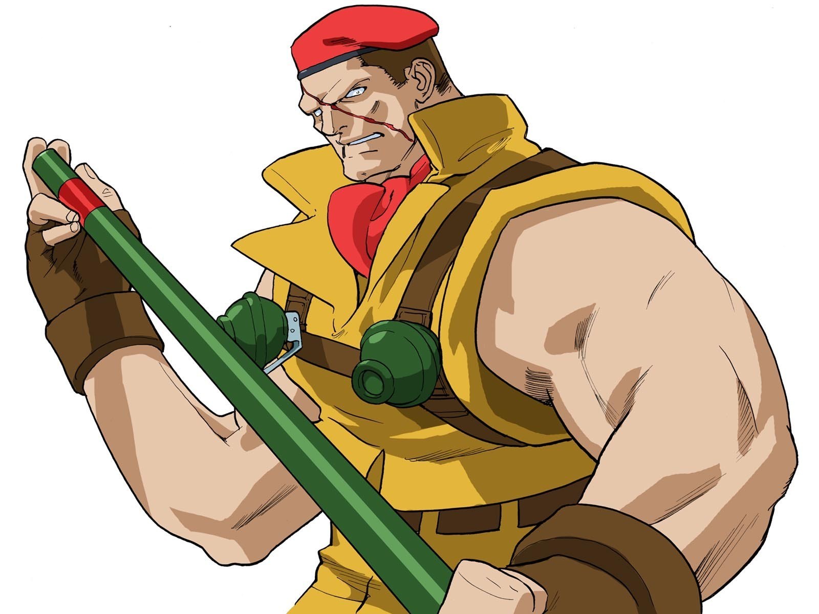 Street Fighter character artwork