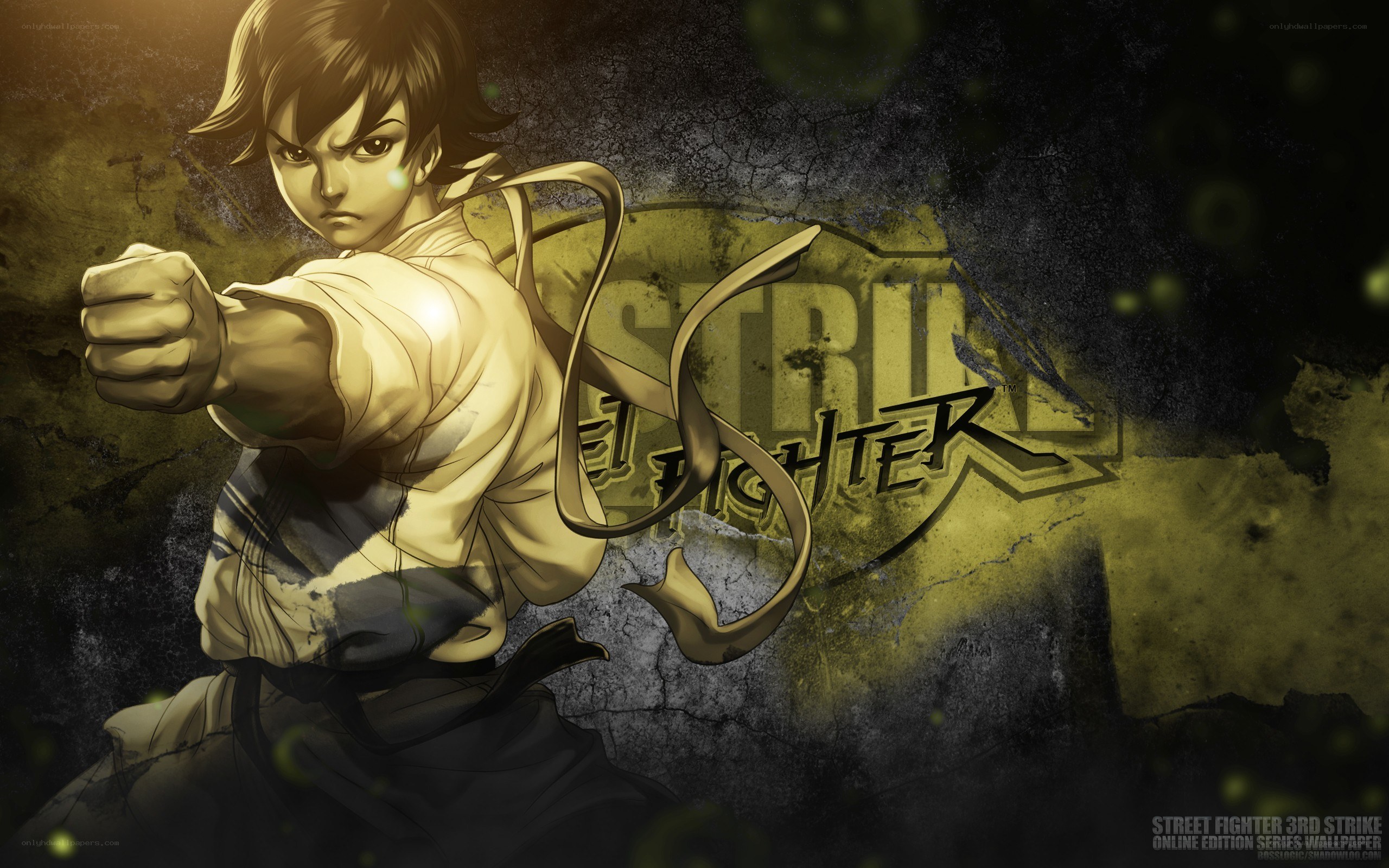 Street Fighter character artwork