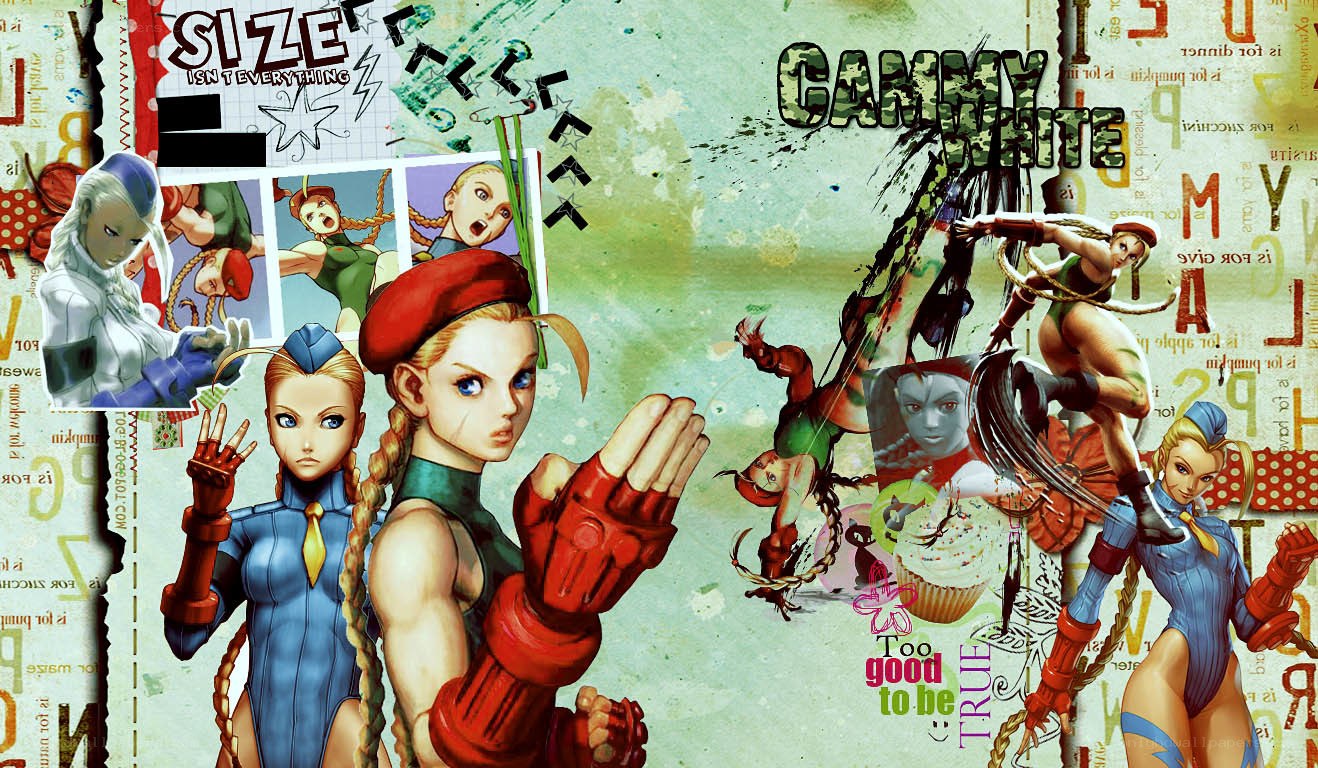 Street Fighter characters collage
