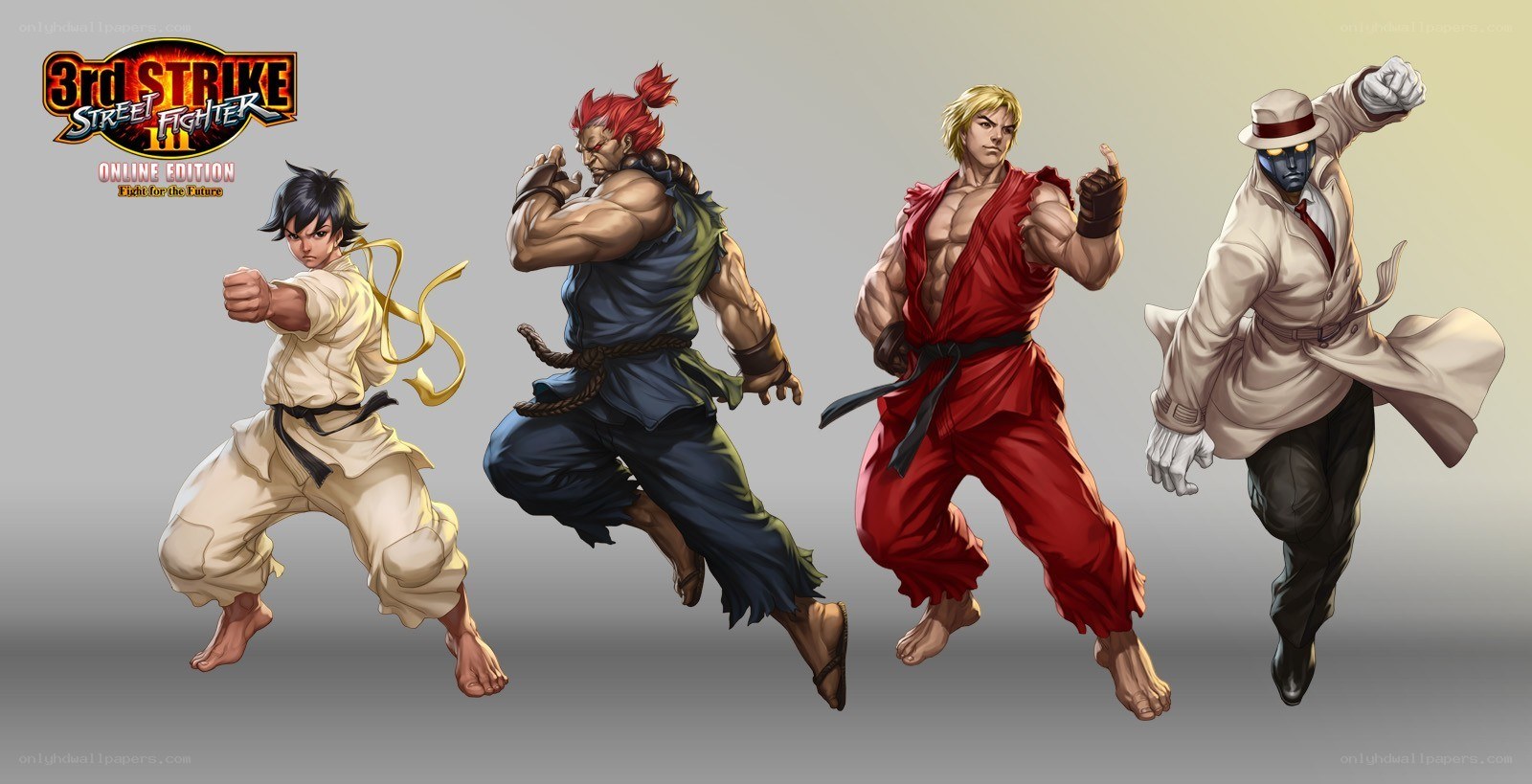 Street Fighter characters in action