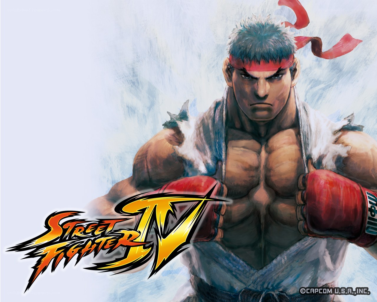 Street Fighter IV artwork