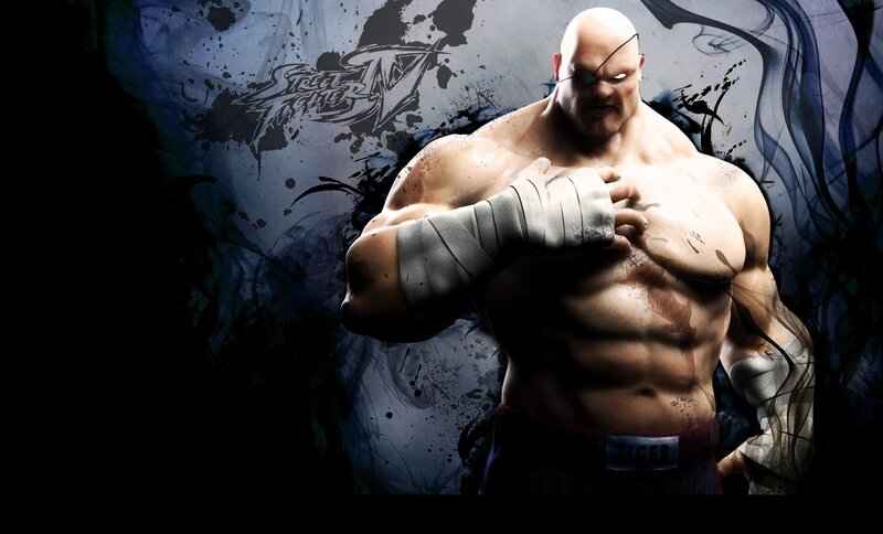 Street Fighter IV character artwork