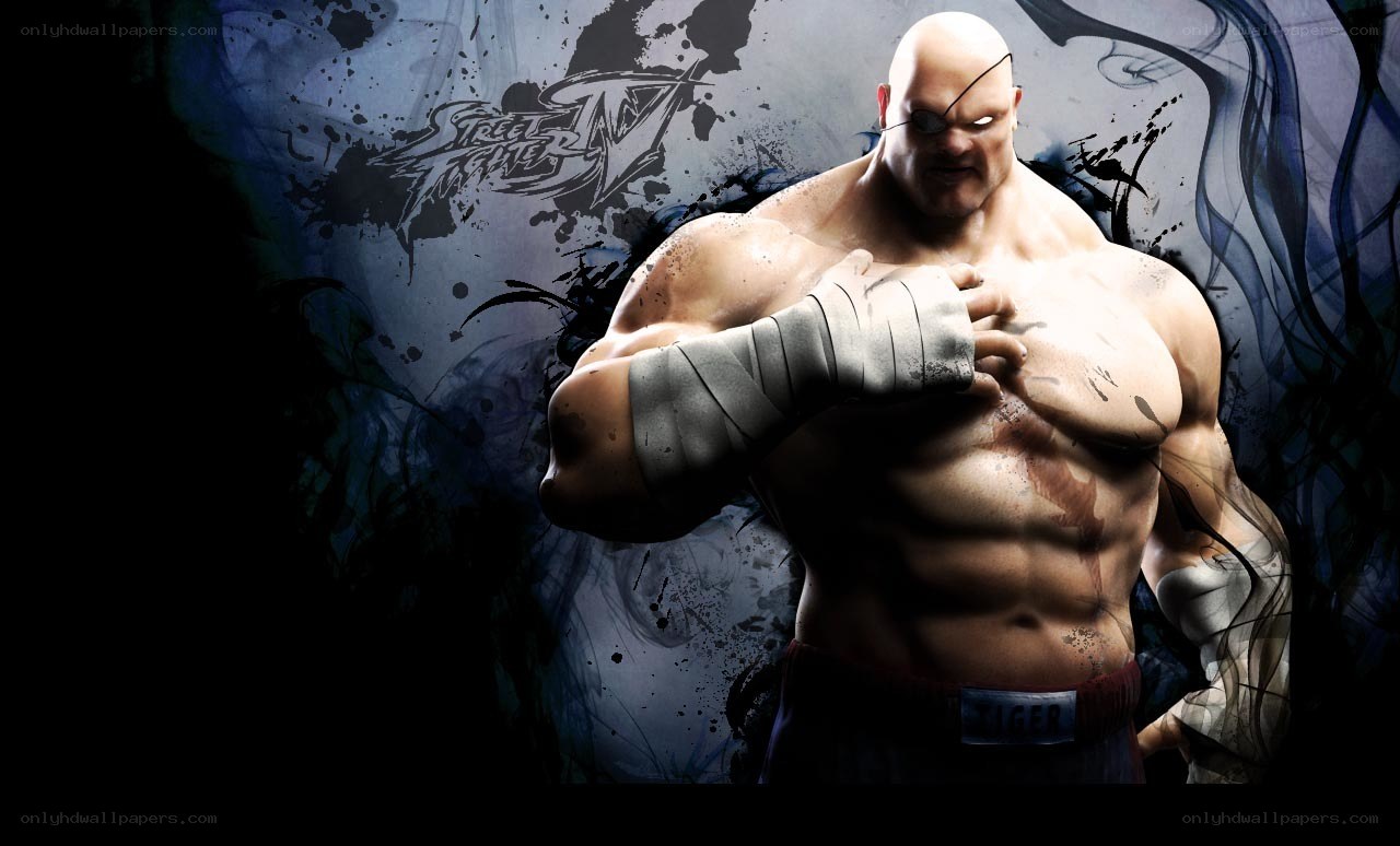 Street Fighter IV character artwork