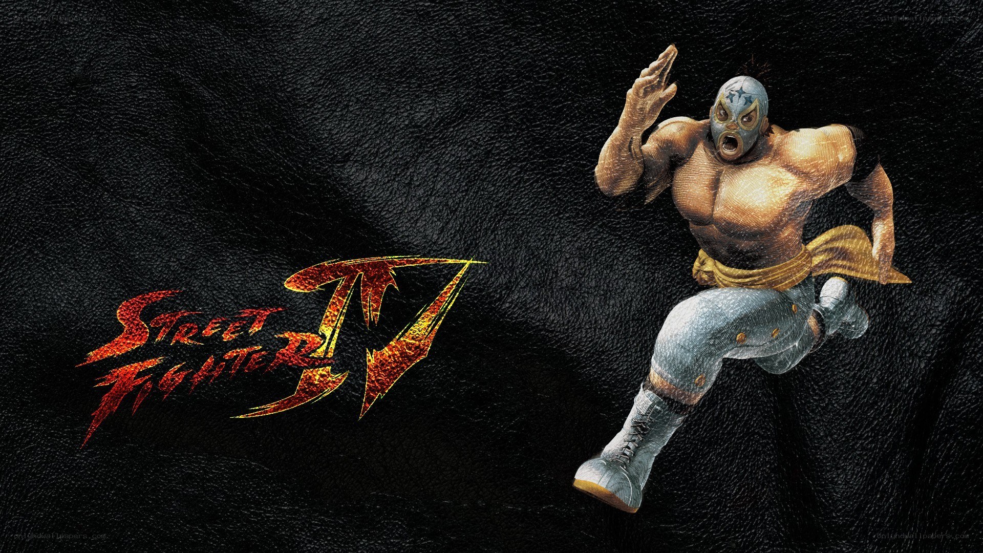 Street Fighter IV character artwork