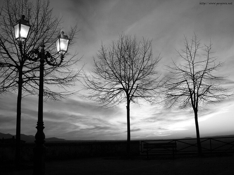 Street Lamp at Dusk — Black