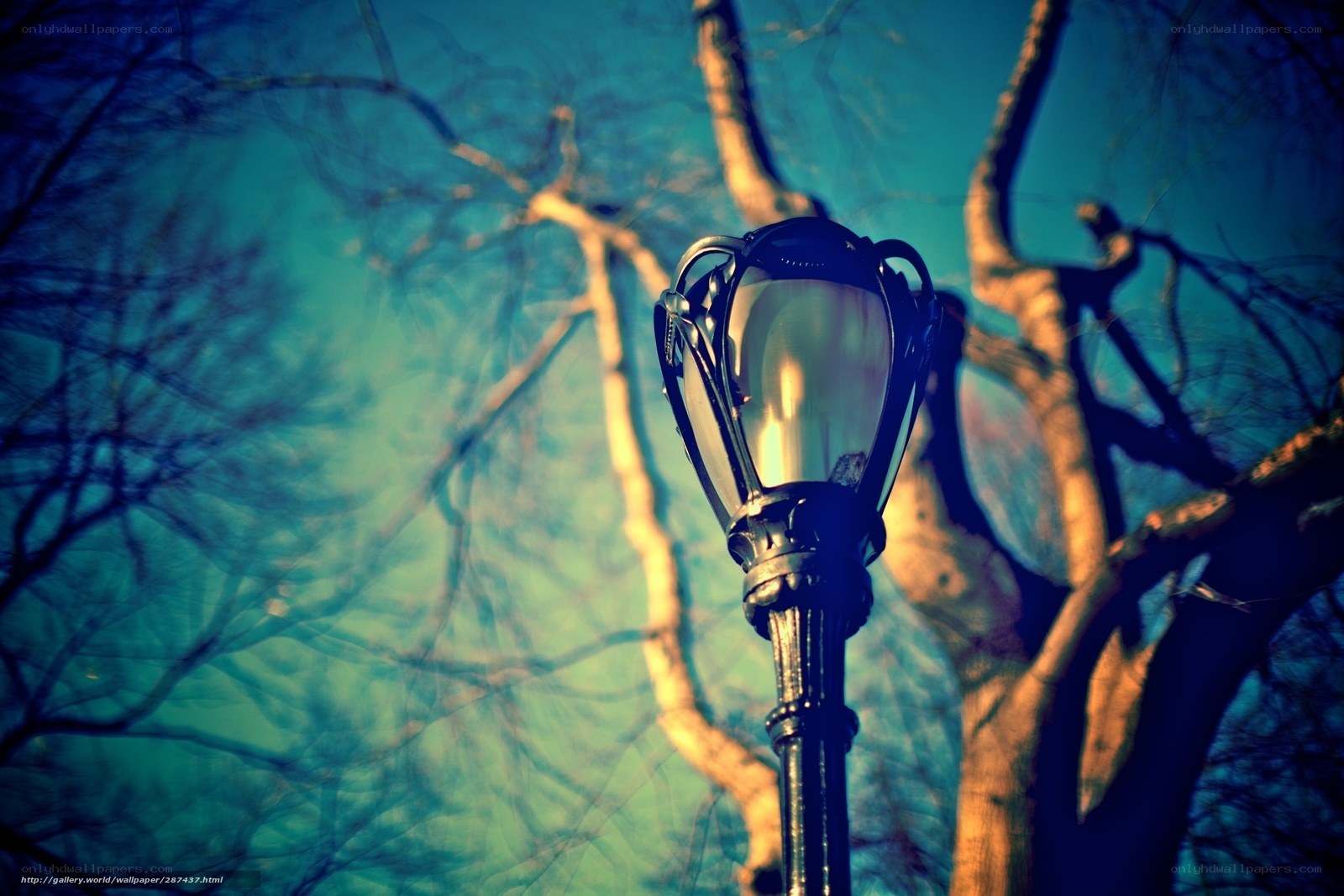 street lamp at dusk