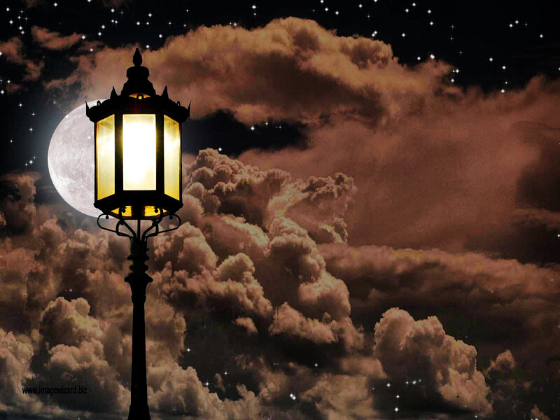 Street Lamp at Night — Black