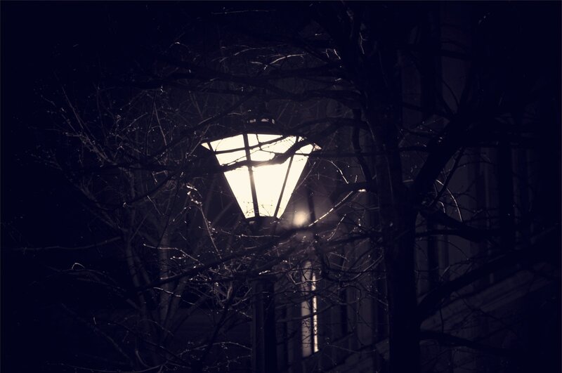 street lamp at night through branches