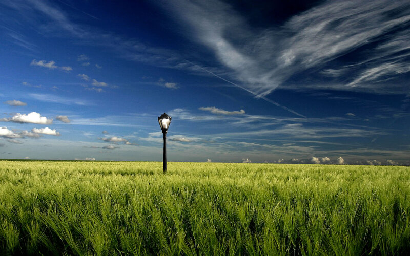 Street Lamp in Field