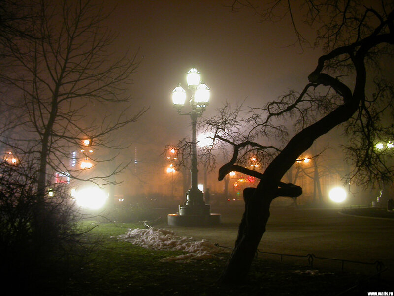 Street Lamp in Fog — Black