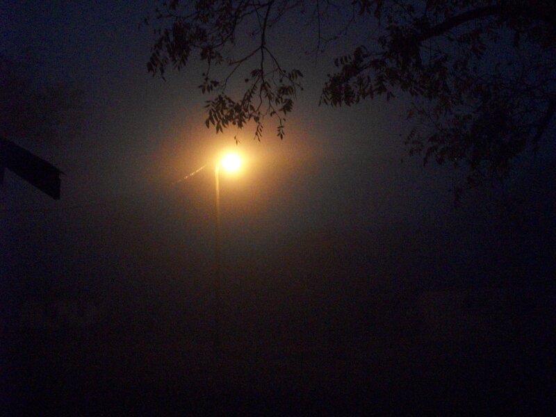 Street Lamp in Fog
