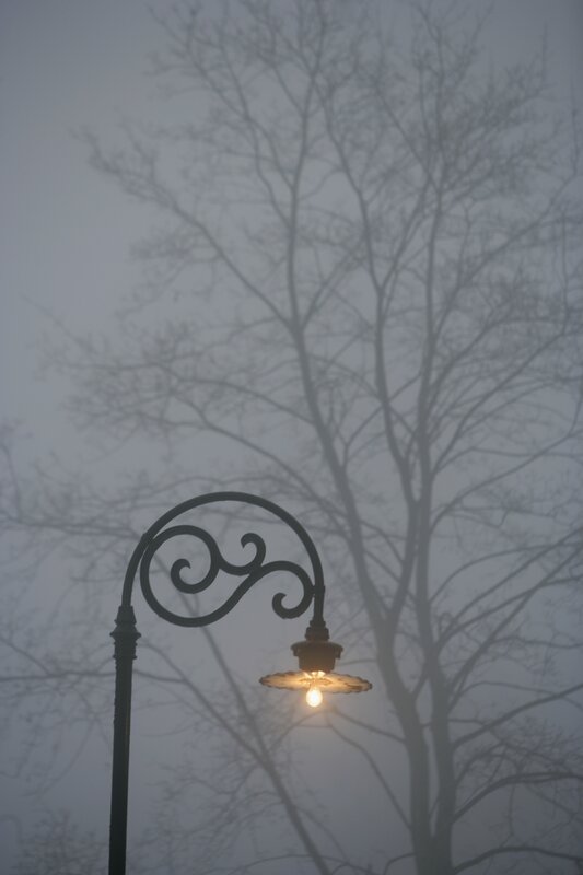 Street lamp in foggy night