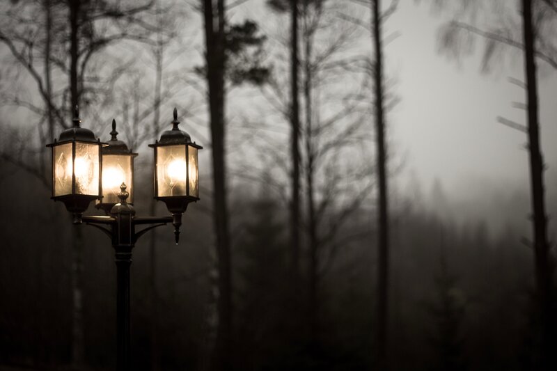 Street Lamp in Forest