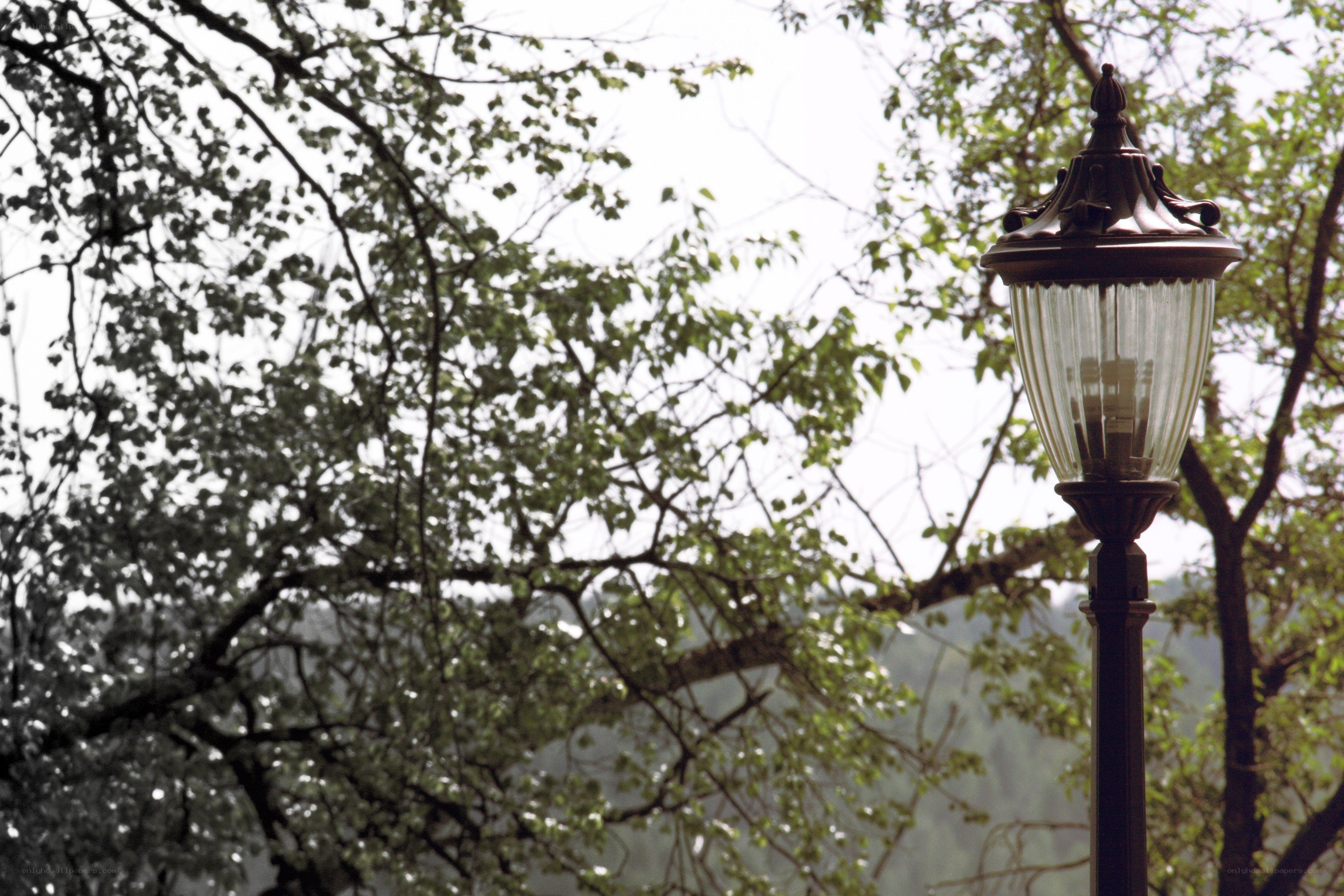 street lamp in park