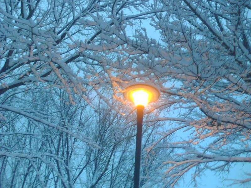 Street Lamp in Snow