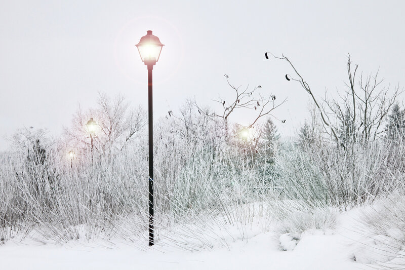 Street Lamp in Snow — White
