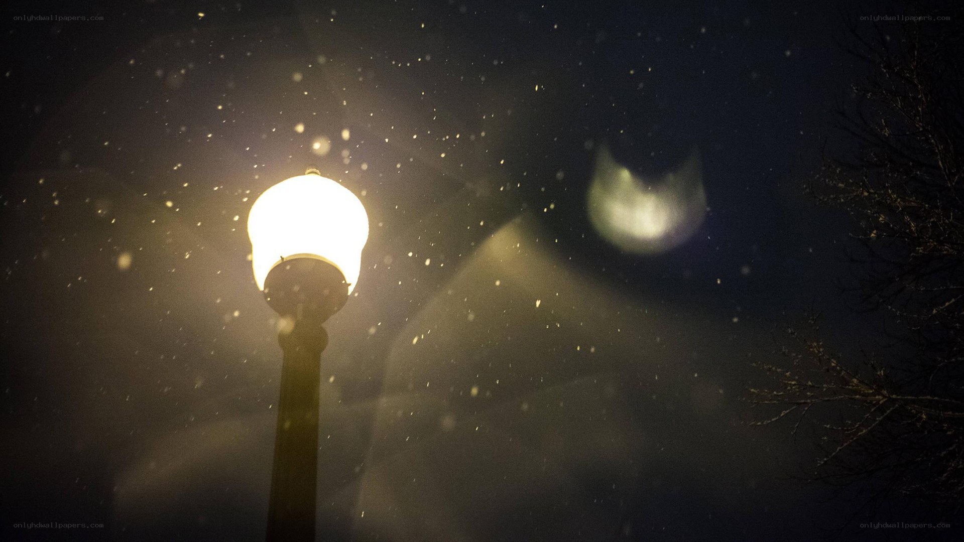 Street lamp in snowfall