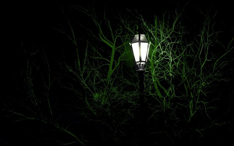 Street Lamp in Trees