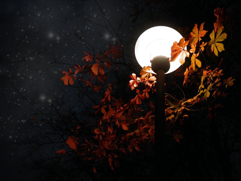 Street Lamp with Autumn Leaves — Orange