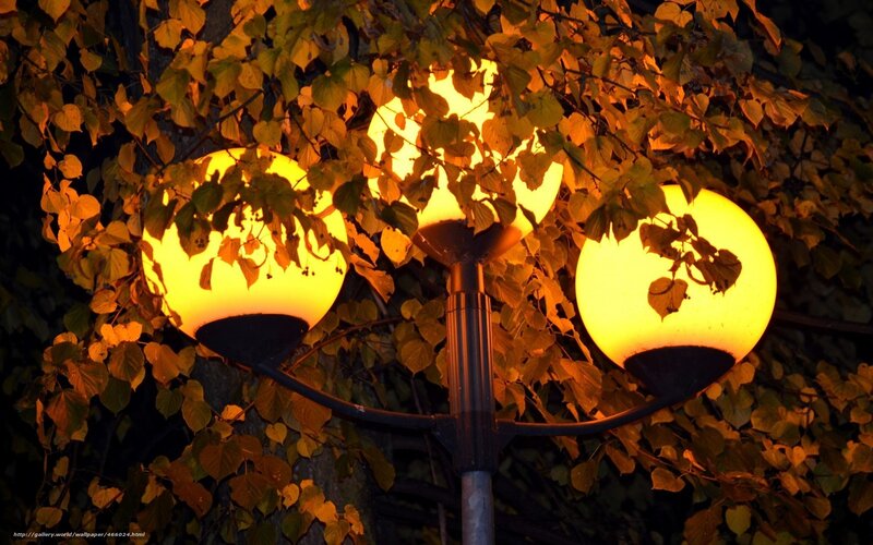 Street lamp with autumn leaves