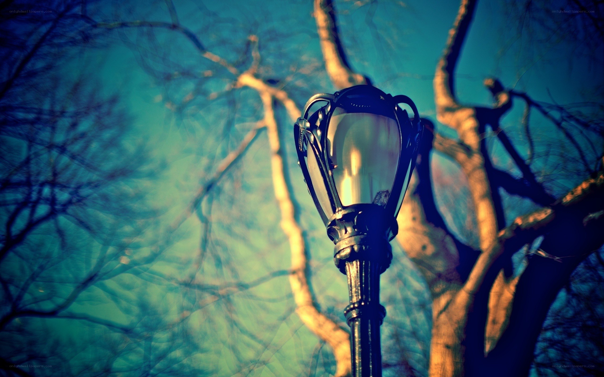 Street lamp with bare trees
