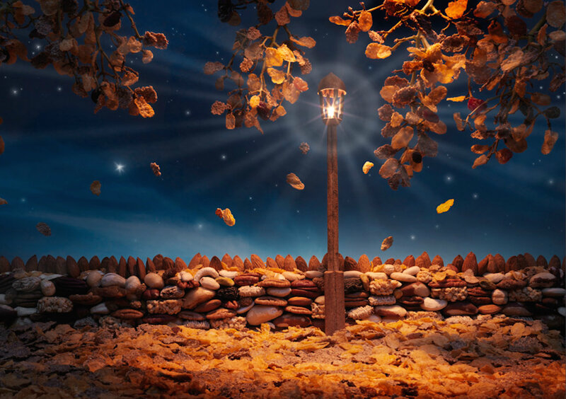 Street Lamp with Cereal Leaves