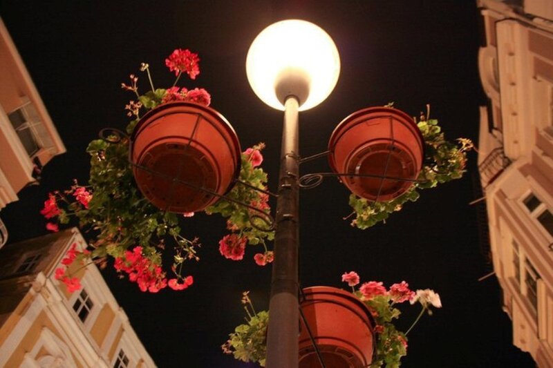 Street Lamp with Flower Baskets