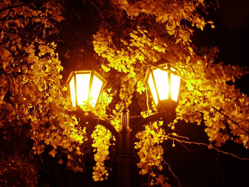 Street Lamp with Ginkgo Leaves