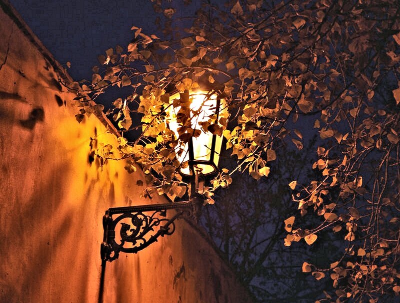 Street Lamp with Leaves