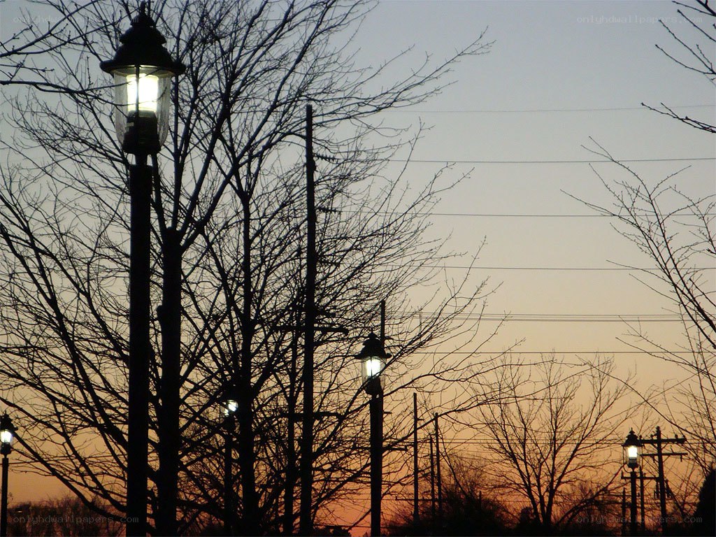 street lamps at dusk