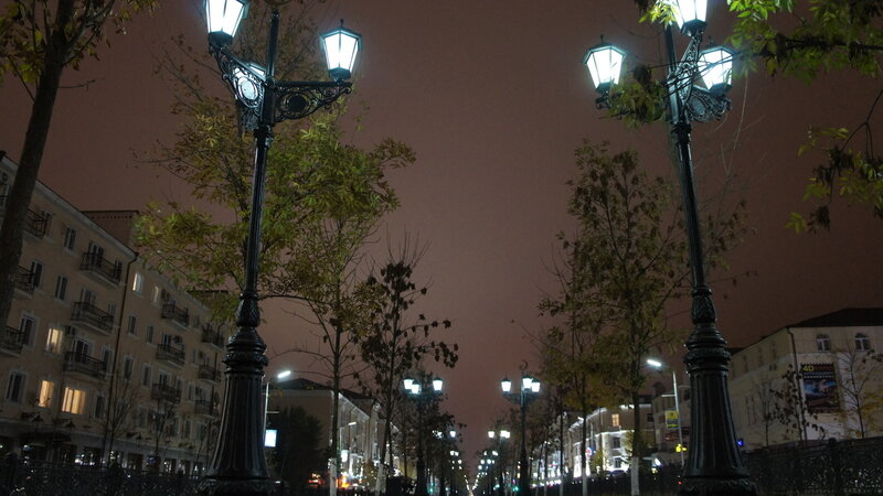 Street Lamps at Night — Black