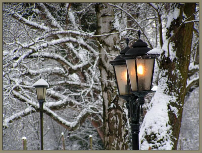 Street Lamps in Snow