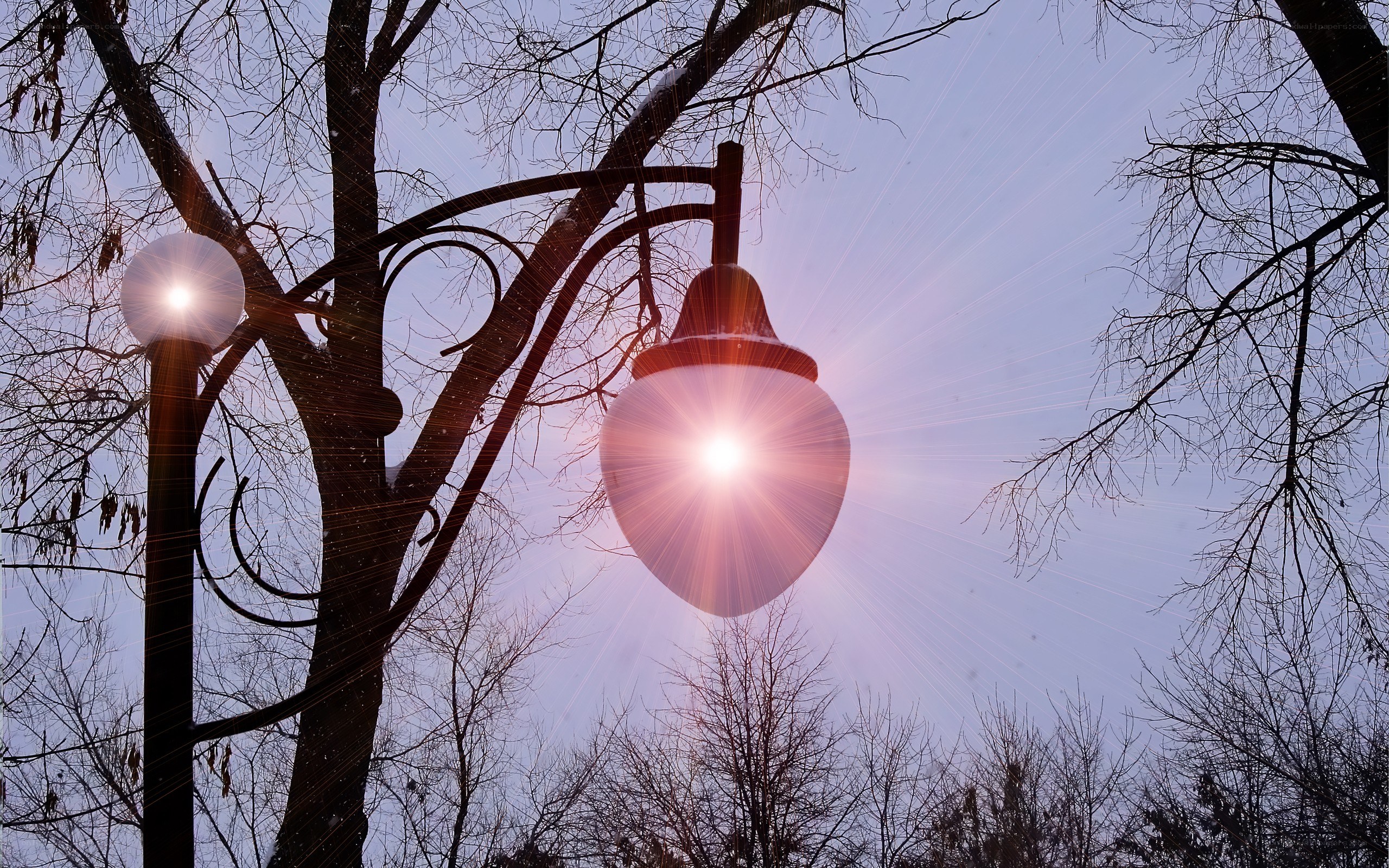 Street lamps in winter