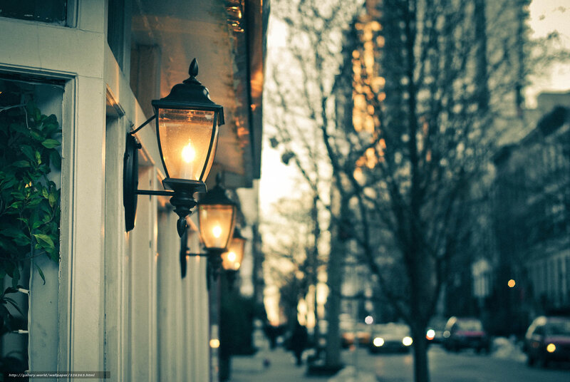 Street lamps on a quiet evening