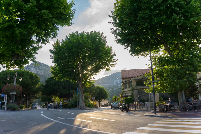 Street Scene with Trees