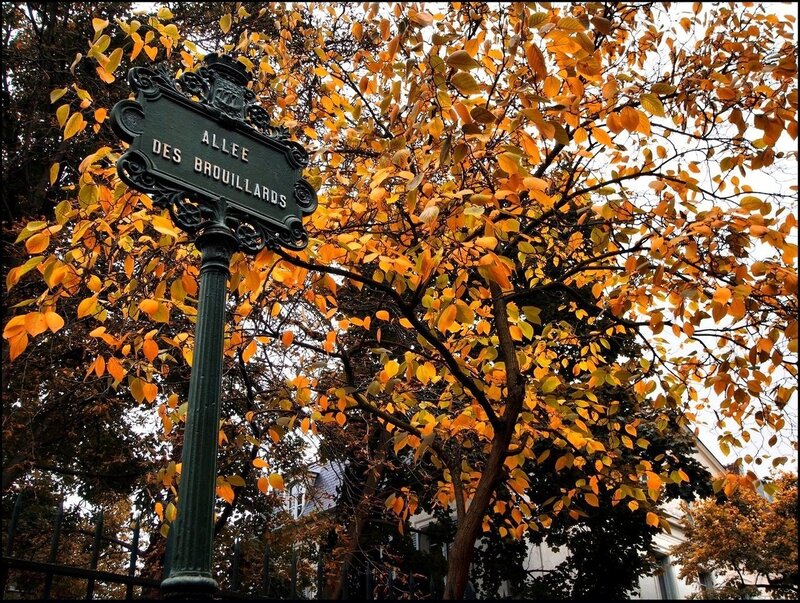 Street Sign in Autumn