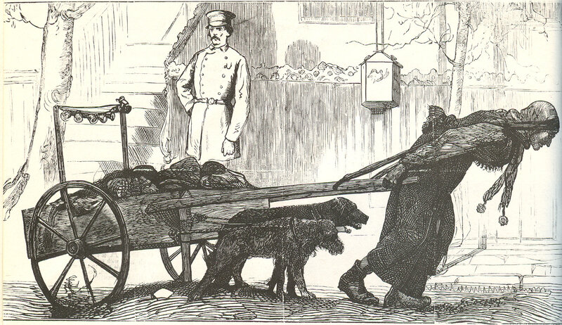 Street vendor with dog cart