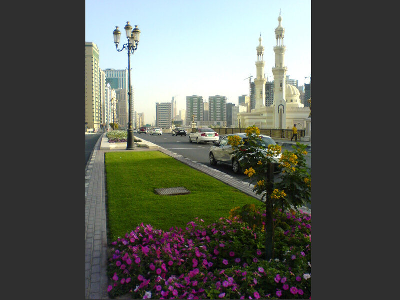Street with Mosque in Background