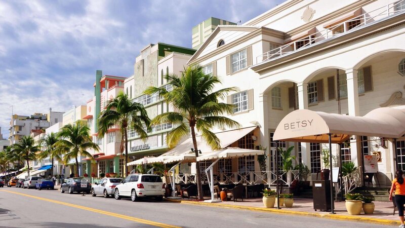 Street with Palm Trees