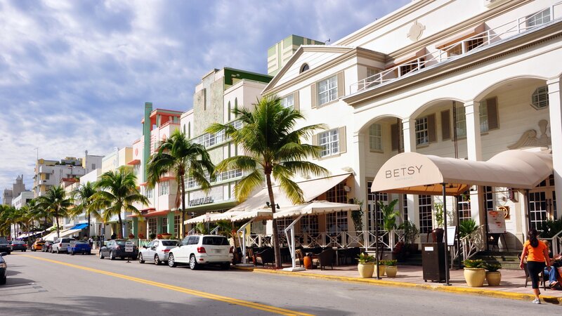Street with Palm Trees — White