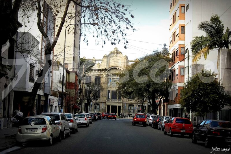 Street with Parked Cars — Gray, Calm