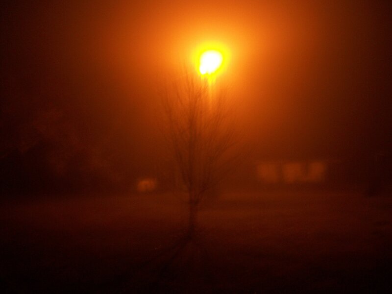 Streetlight in Fog — Orange